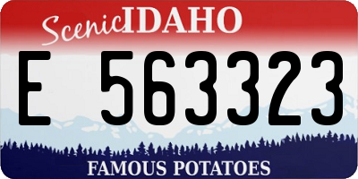 ID license plate E563323