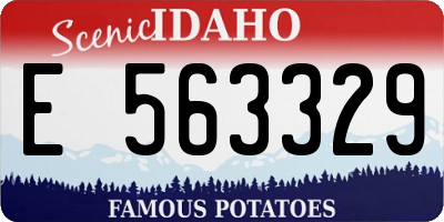 ID license plate E563329