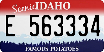 ID license plate E563334