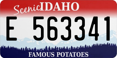 ID license plate E563341