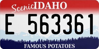 ID license plate E563361