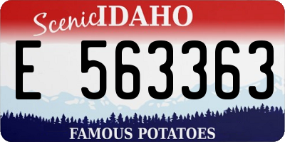 ID license plate E563363