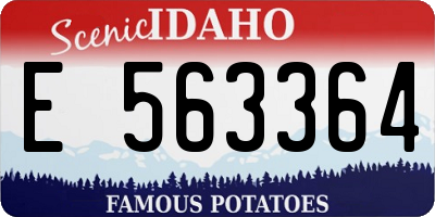 ID license plate E563364