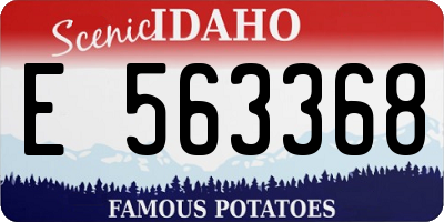 ID license plate E563368