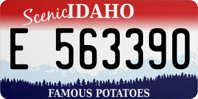ID license plate E563390