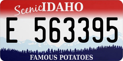 ID license plate E563395