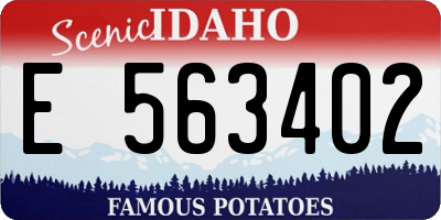 ID license plate E563402
