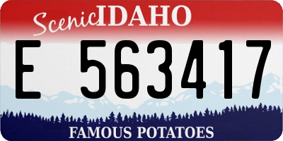 ID license plate E563417