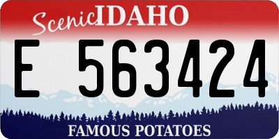 ID license plate E563424