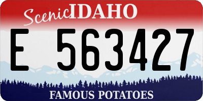 ID license plate E563427