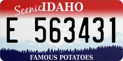 ID license plate E563431