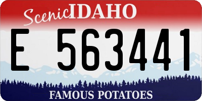 ID license plate E563441