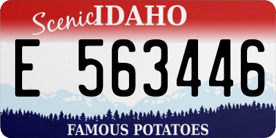 ID license plate E563446