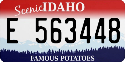 ID license plate E563448