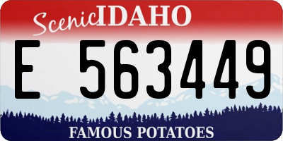 ID license plate E563449