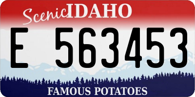 ID license plate E563453