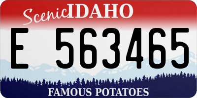 ID license plate E563465