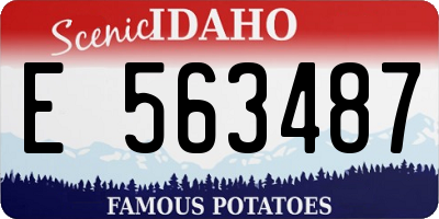 ID license plate E563487