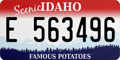 ID license plate E563496