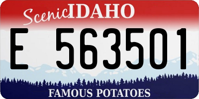 ID license plate E563501