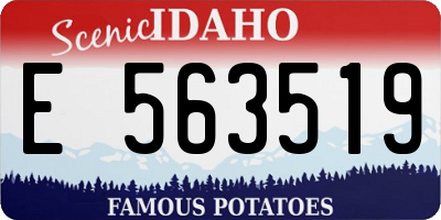 ID license plate E563519