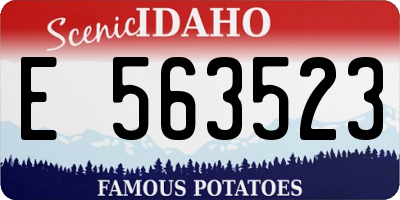 ID license plate E563523