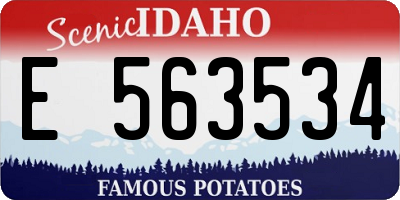 ID license plate E563534
