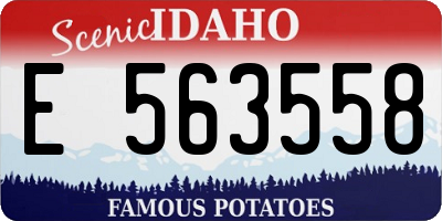 ID license plate E563558