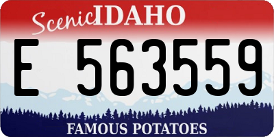 ID license plate E563559