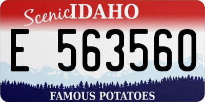 ID license plate E563560