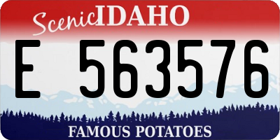 ID license plate E563576