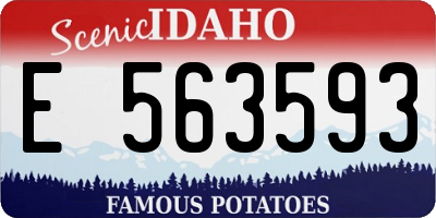 ID license plate E563593