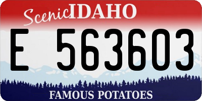 ID license plate E563603
