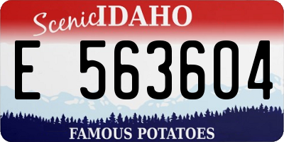 ID license plate E563604