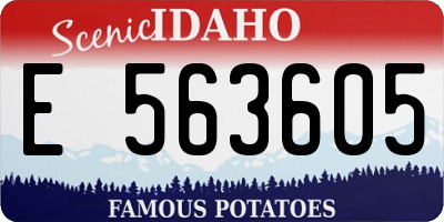 ID license plate E563605