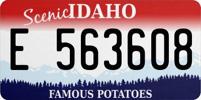 ID license plate E563608