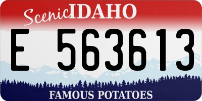 ID license plate E563613