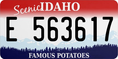 ID license plate E563617
