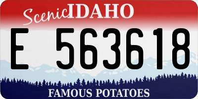 ID license plate E563618