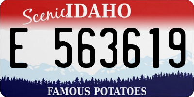 ID license plate E563619