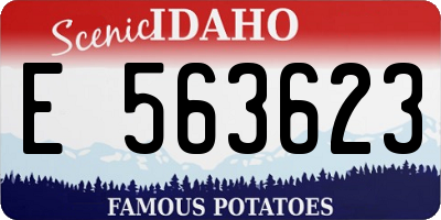 ID license plate E563623