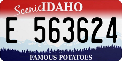ID license plate E563624