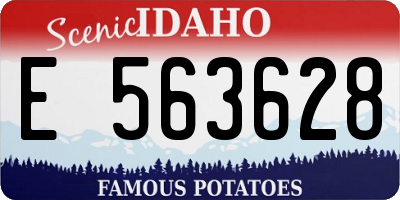 ID license plate E563628