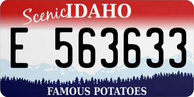 ID license plate E563633