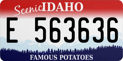 ID license plate E563636