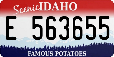 ID license plate E563655