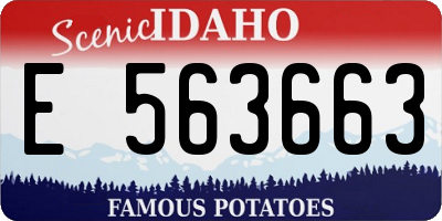 ID license plate E563663