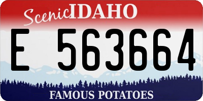 ID license plate E563664
