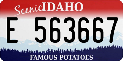 ID license plate E563667