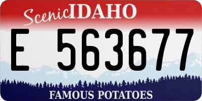 ID license plate E563677